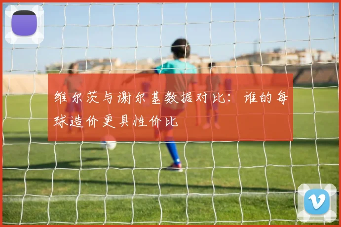 维尔茨与谢尔基数据对比：谁的每球造价更具性价比